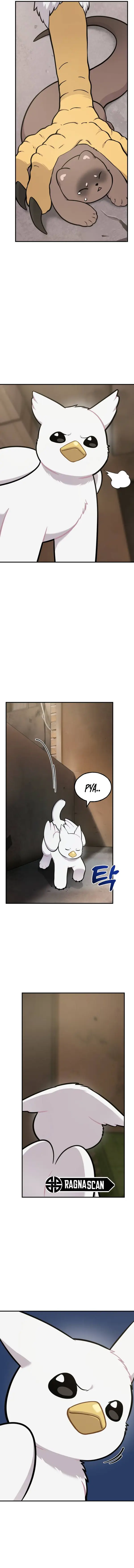 ¡Hola, Pequeño Grifo Peludo! - Capítulo 39 - Página 12 - LectorTMOo
