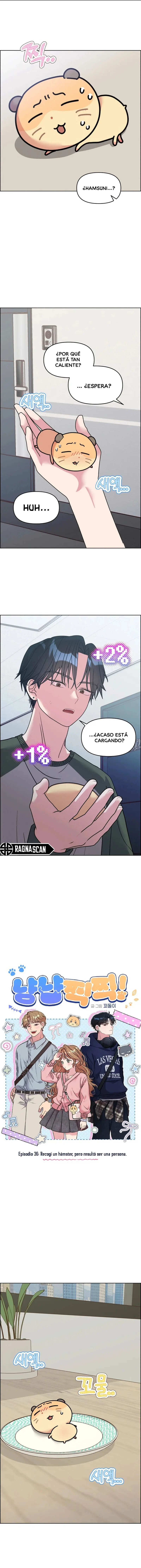 ¡Meow Meow! ¡Squeak Squeak! capítulo 36 página 3