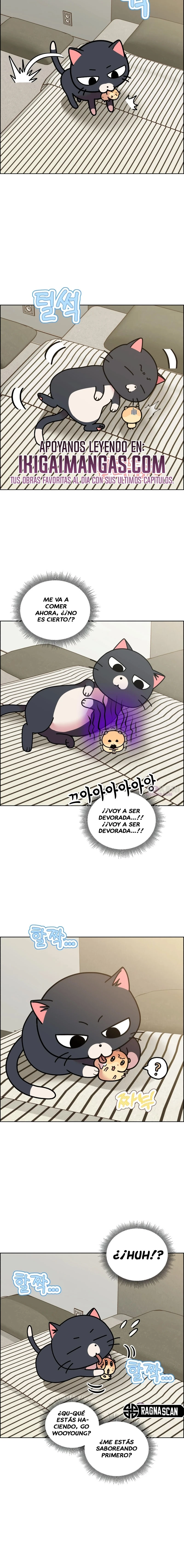 ¡Meow Meow! ¡Squeak Squeak! capítulo 50 página 6