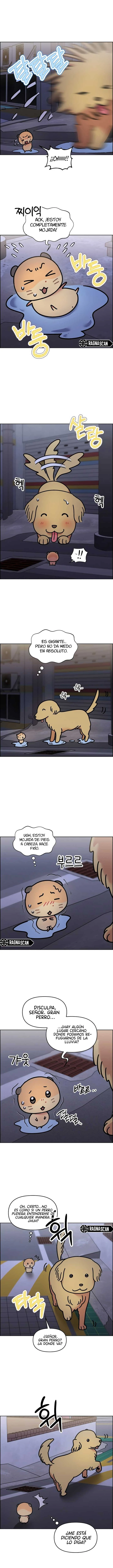 ¡Meow Meow! ¡Squeak Squeak! capítulo 61 página 3