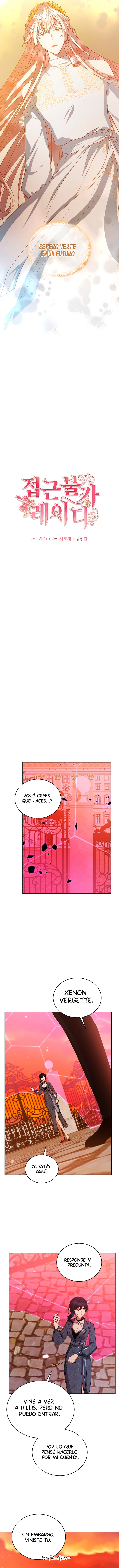 Dama Intocable - Capítulo 115 - Página 8 - LectorTMOo