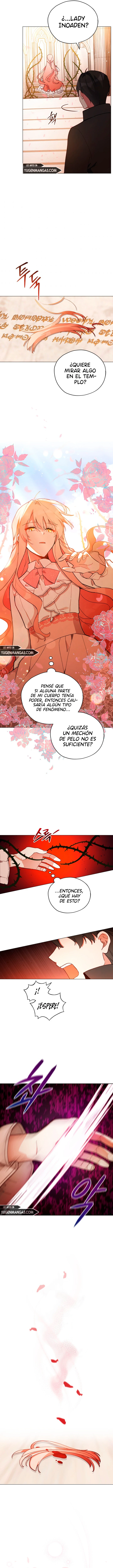 Dama Intocable - Capítulo 24 - Página 5 - LectorTMOo