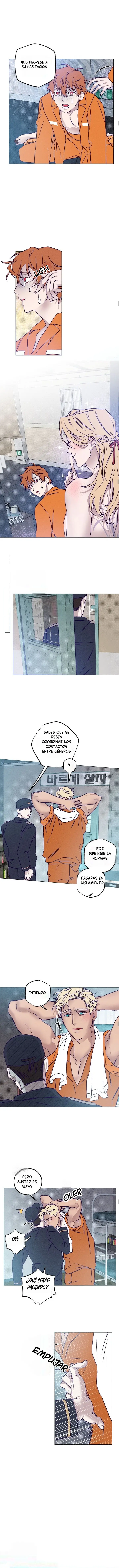 Desayuno en prision - Capítulo 14 - Página 9 - LectorTMOo