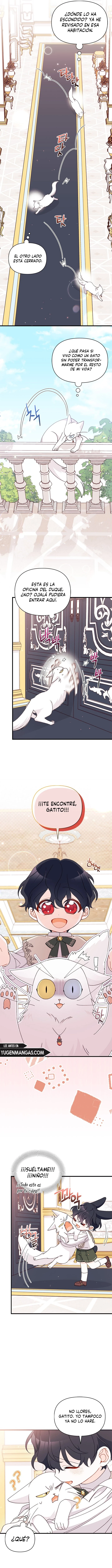 Encontré Un Esposo Cuando Recogí Al Protagonista Masculino - Capítulo 47 - Página 4 - LectorTMOo