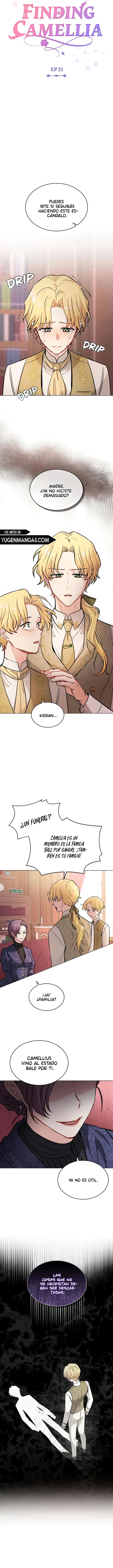 Encontrando a Camellia - Capítulo 21 - Página 7 - LectorTMOo