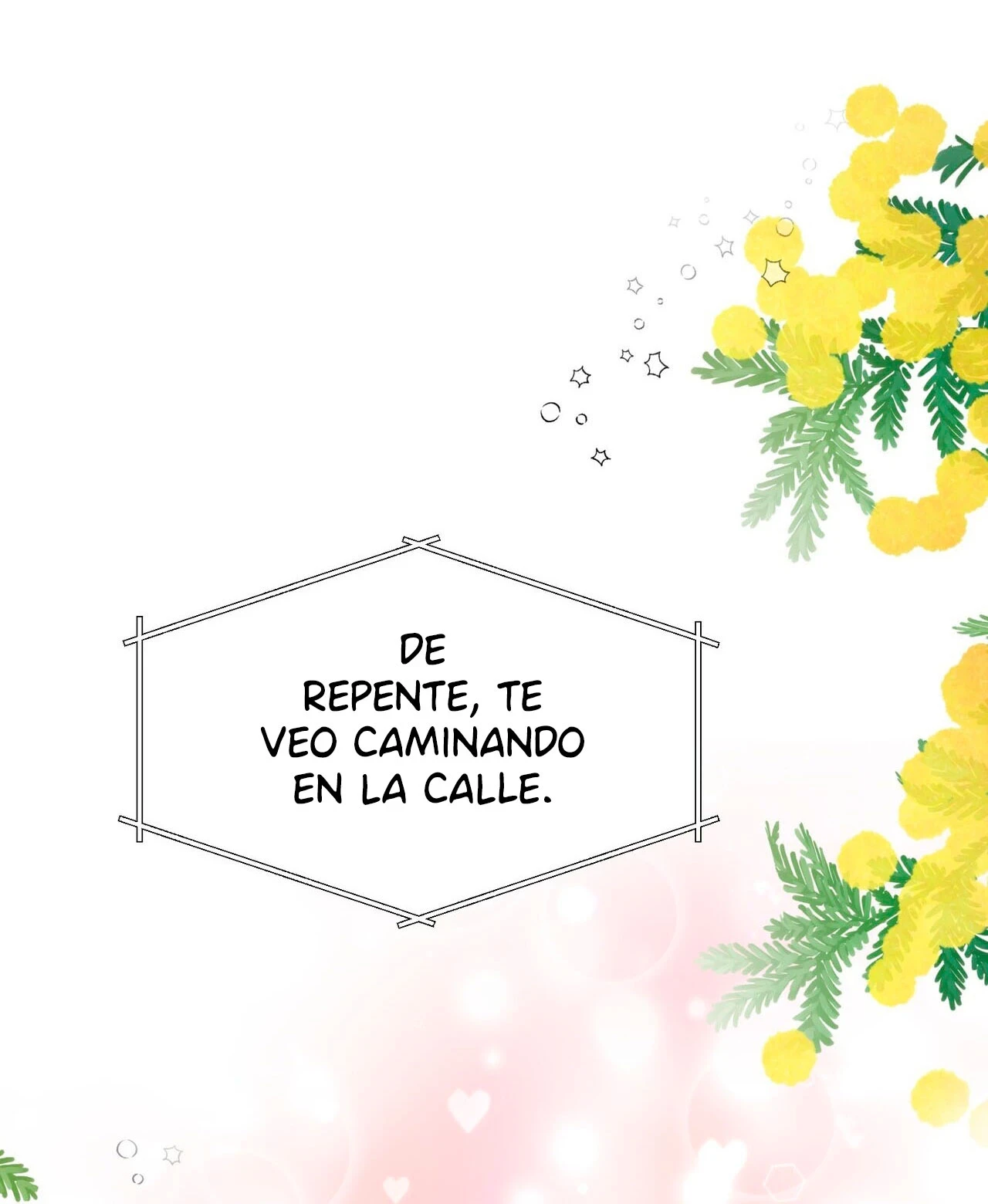 Fuí Designado como un Ídolo capítulo 3 página 53