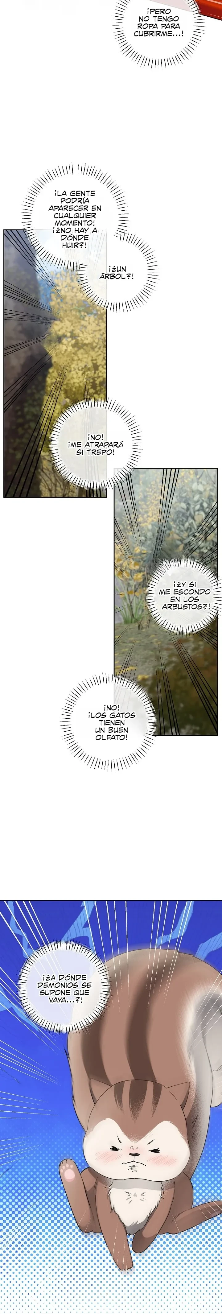 Hasta la ardilla solitaria tiene su madriguera - Capítulo 5 - Página 11 - LectorTMOo