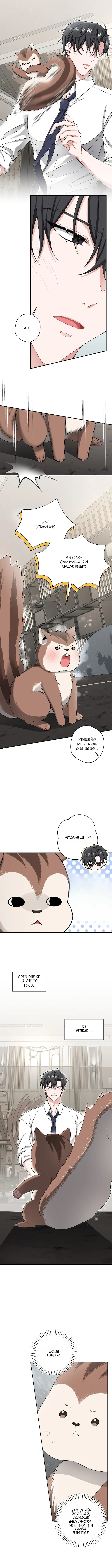Hasta la ardilla solitaria tiene su madriguera - Capítulo 9 - Página 6 - LectorTMOo