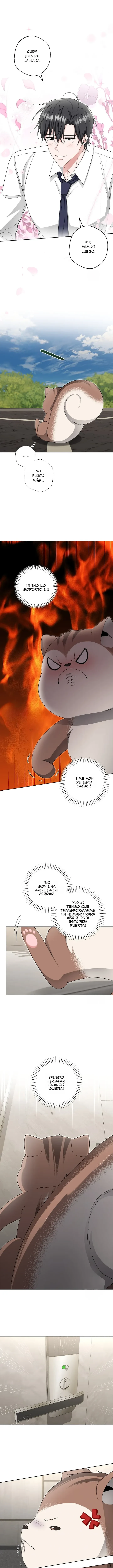 Hasta la ardilla solitaria tiene su madriguera - Capítulo 9 - Página 10 - LectorTMOo