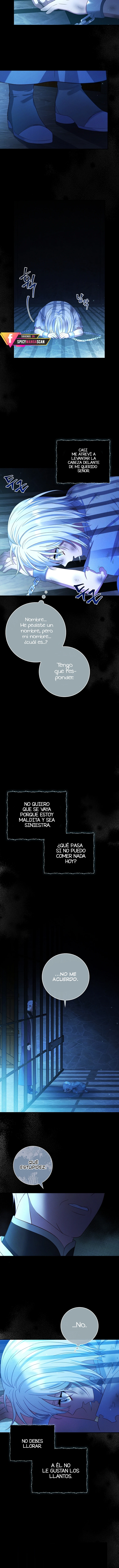 La Falsa En Realidad No Quiere Ser La Verdadera - Capítulo 24 - Página 6 - LectorTMOo