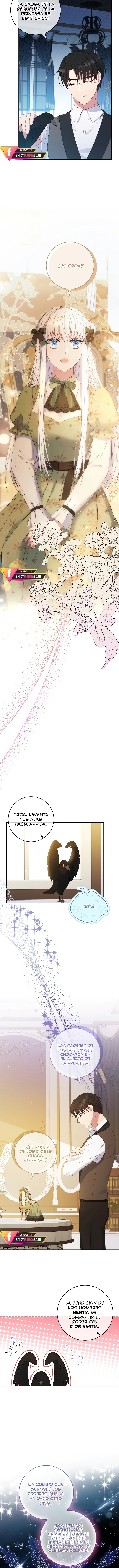 La Falsa En Realidad No Quiere Ser La Verdadera - Capítulo 36 - Página 12 - LectorTMOo