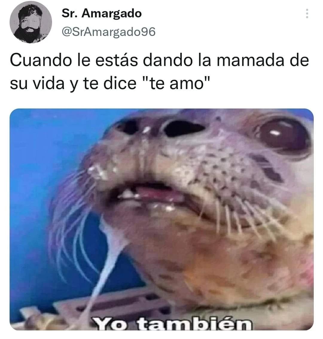 La secta más fuerte de todos los tiempos - Capítulo 135 - Página 24 - LectorTMOo