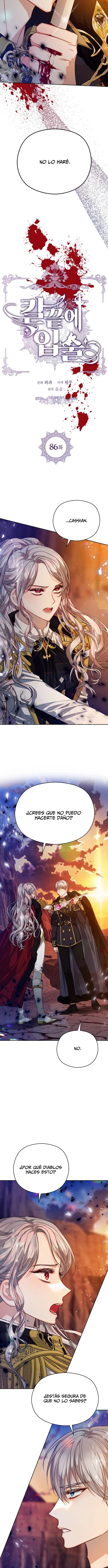 Labios Tan Filosos Como Un Cuchillo - Capítulo 86 - Página 6 - LectorTMOo