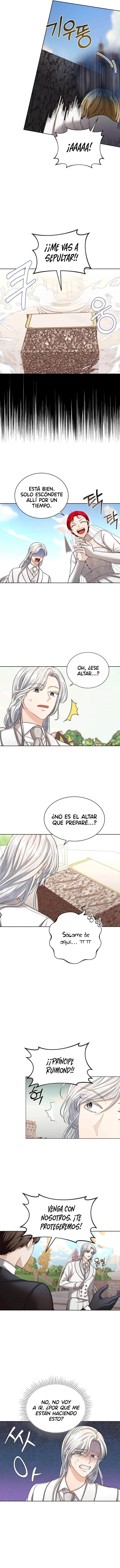Matrimonio Contractual Con La Duquesa De Ashleyan - Capítulo 31 - Página 7 - LectorTMOo