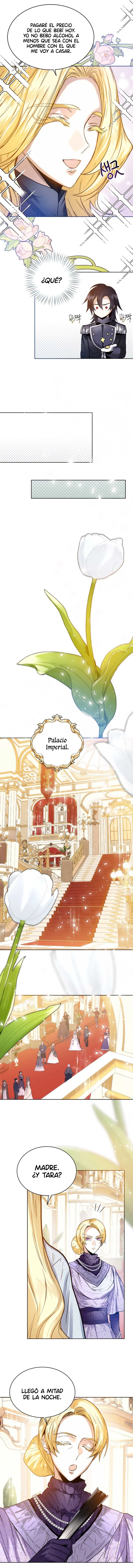 Matrimonio Real - Capítulo 12 - Página 10 - LectorTMOo