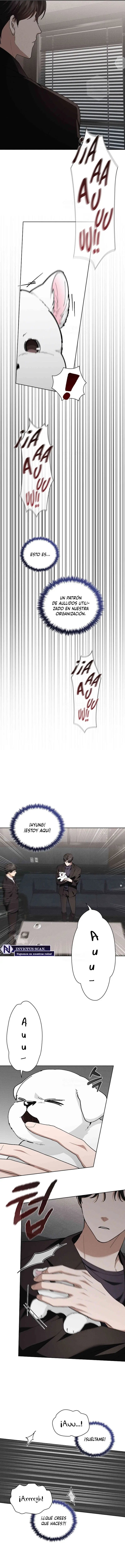 no toques el perro - Capítulo 13 - Página 8 - LectorTMOo