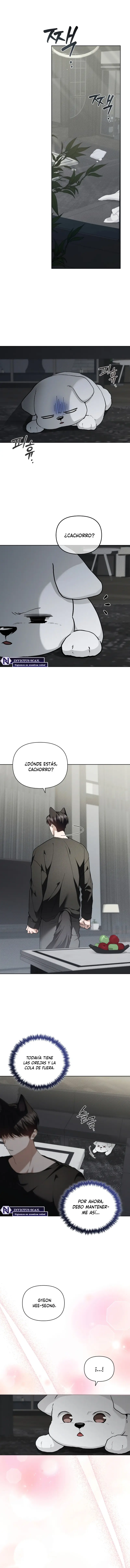 no toques el perro - Capítulo 19 - Página 8 - LectorTMOo