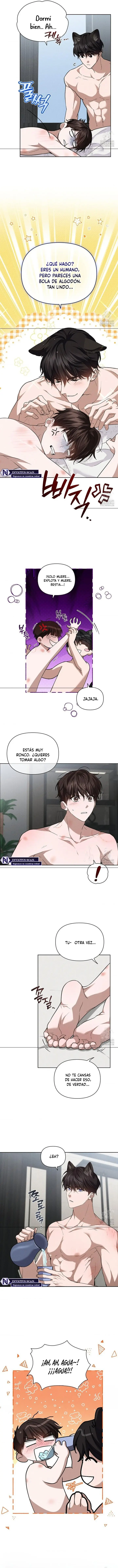 no toques el perro - Capítulo 26 - Página 7 - LectorTMOo