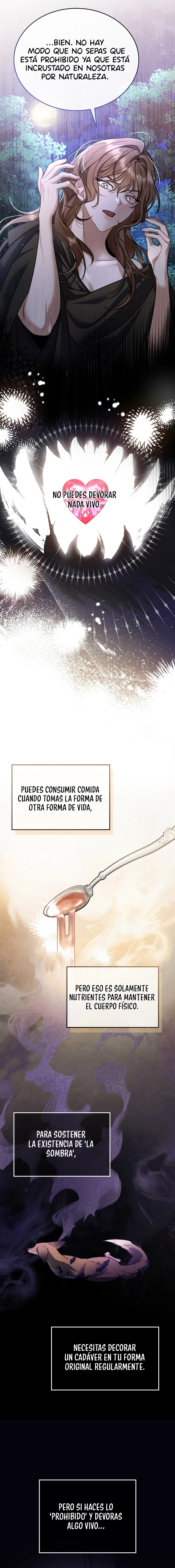 Noche Sin Sombras - Capítulo 18 - Página 8 - LectorTMOo