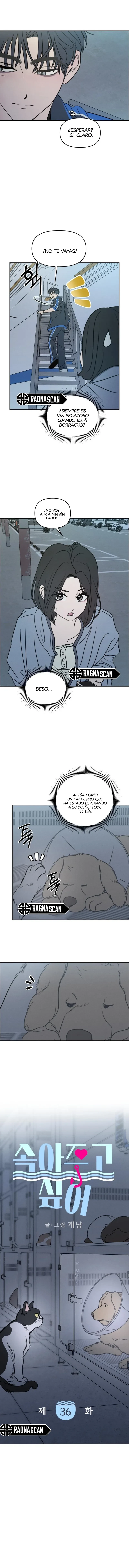 Quiero dejarme engañar - Capítulo 36 - Página 8 - LectorTMOo