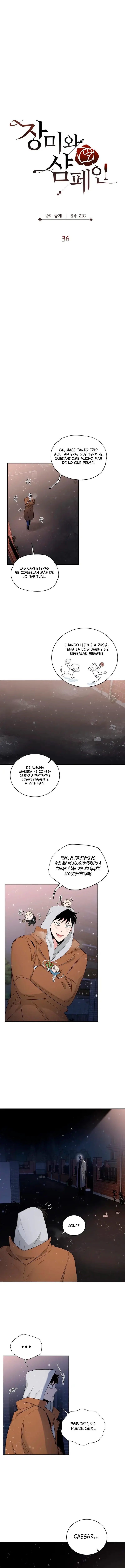 Rosas Y Champaña - Capítulo 36 - Página 5 - LectorTMOo