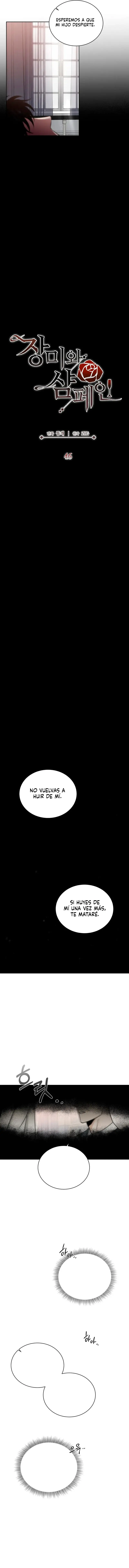 Rosas Y Champaña - Capítulo 46 - Página 5 - LectorTMOo