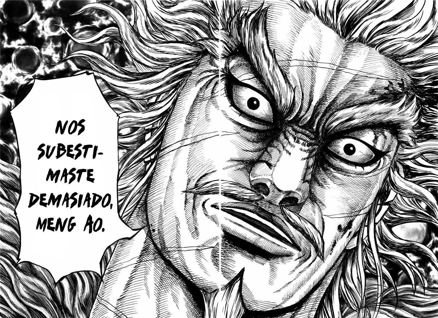 Kingdom - Capítulo 236 - Página 12 - LectorTMOo