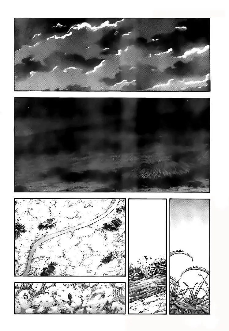 Kingdom capítulo 482 página 14