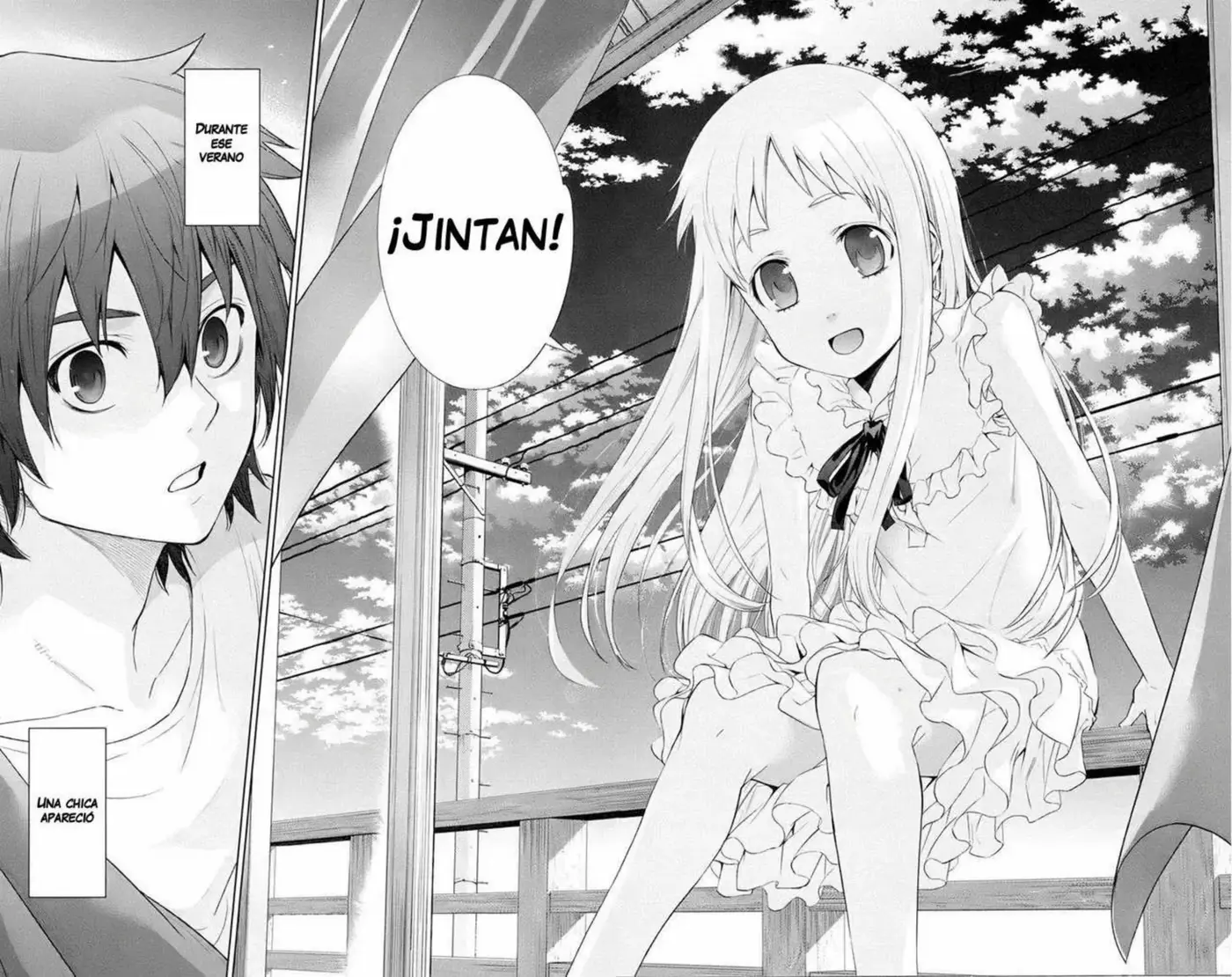 Ano Hi Mita Hana no Namae wo Bokutachi wa Mada Shiranai - Capítulo 1 - Página 9 - LectorTMOo