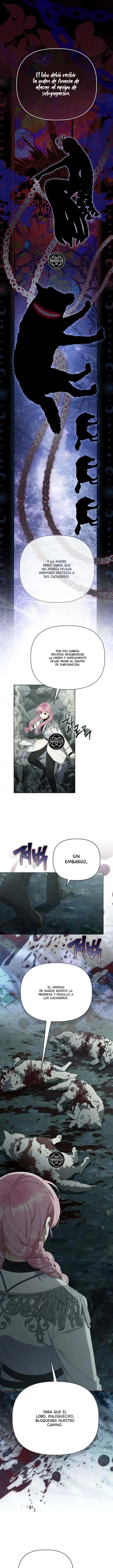 El Privilegio de una Transmigrante Manhwa - Capítulo 135 - Página 6 - LectorTMOo