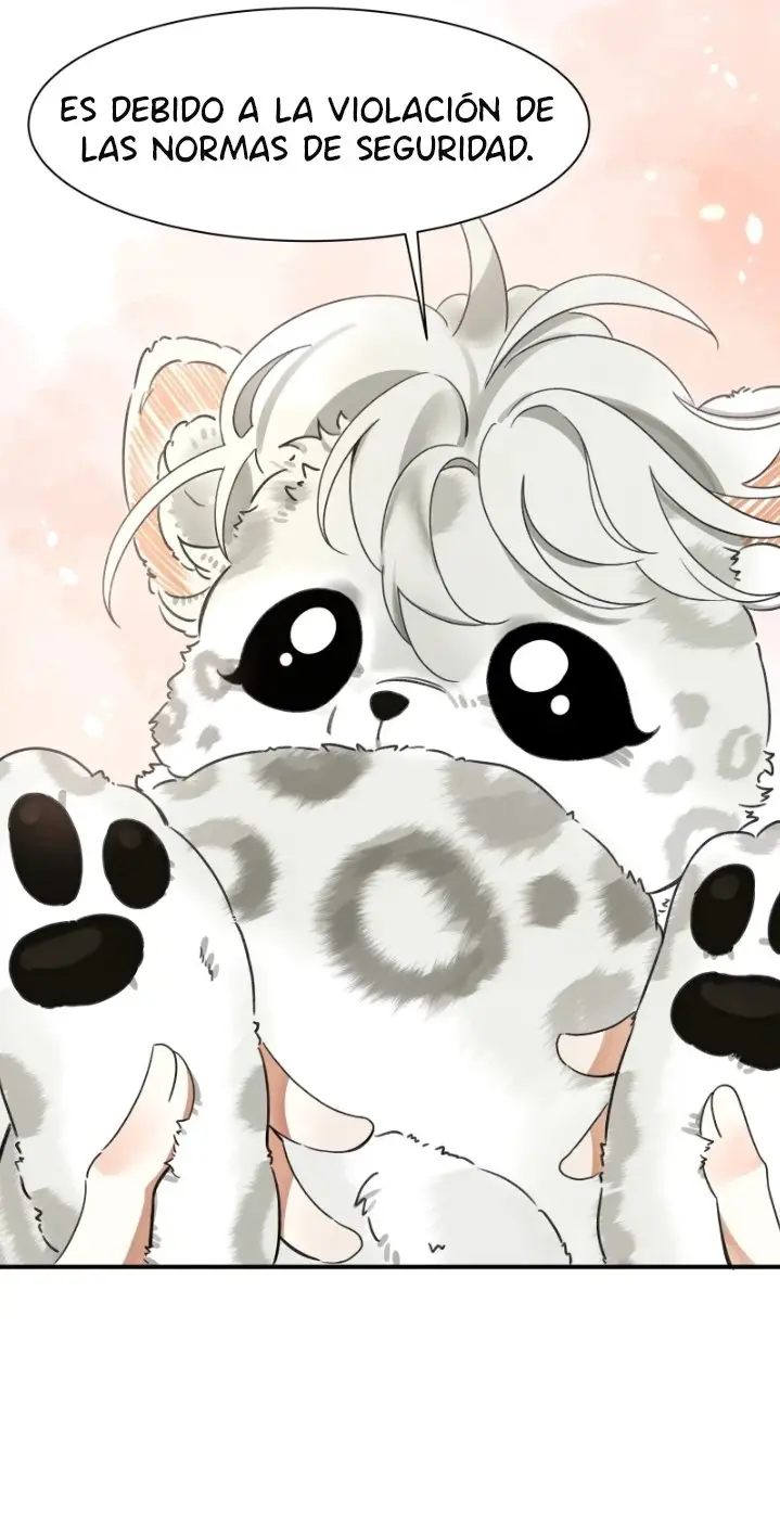 A los leopardos de las nieves les gusta morderse la cola capítulo 1 página 47
