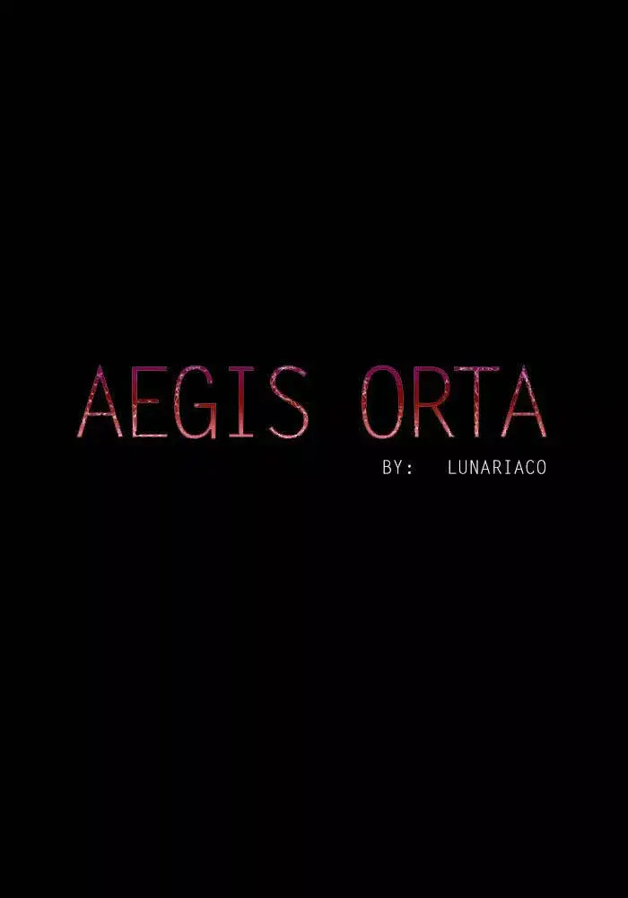 Aegis Orta capítulo 29 página 13