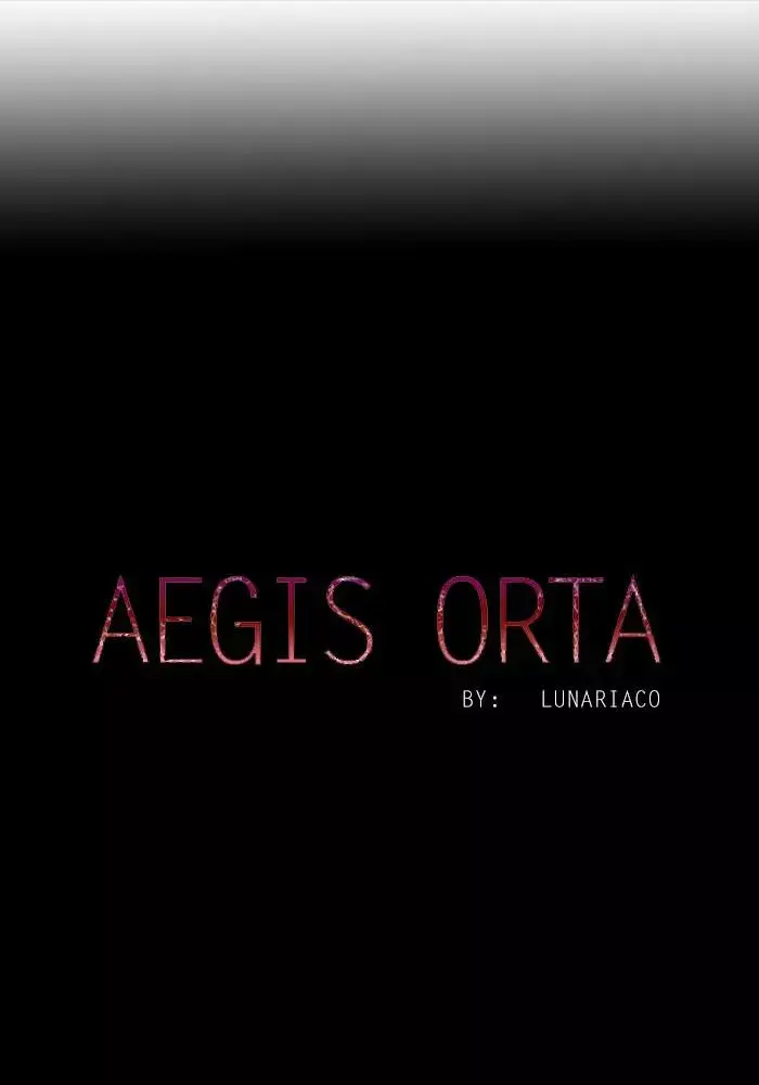 Aegis Orta capítulo 31 página 17