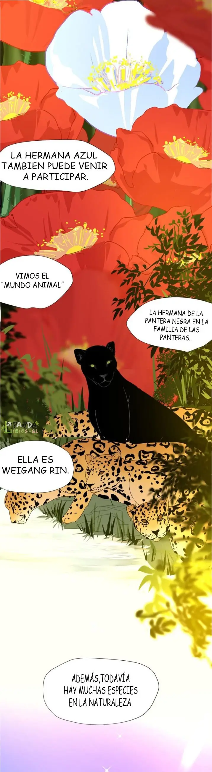 Albatros de espalda negra capítulo 1 página 12