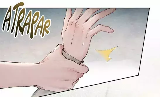 Amado Tormento capítulo 5 página 13