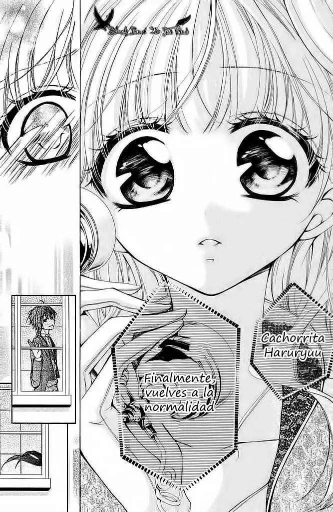 Amai Akuma ga Warau capítulo 6 página 32