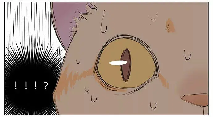 Aman's Animal Tales capítulo 5 página 6