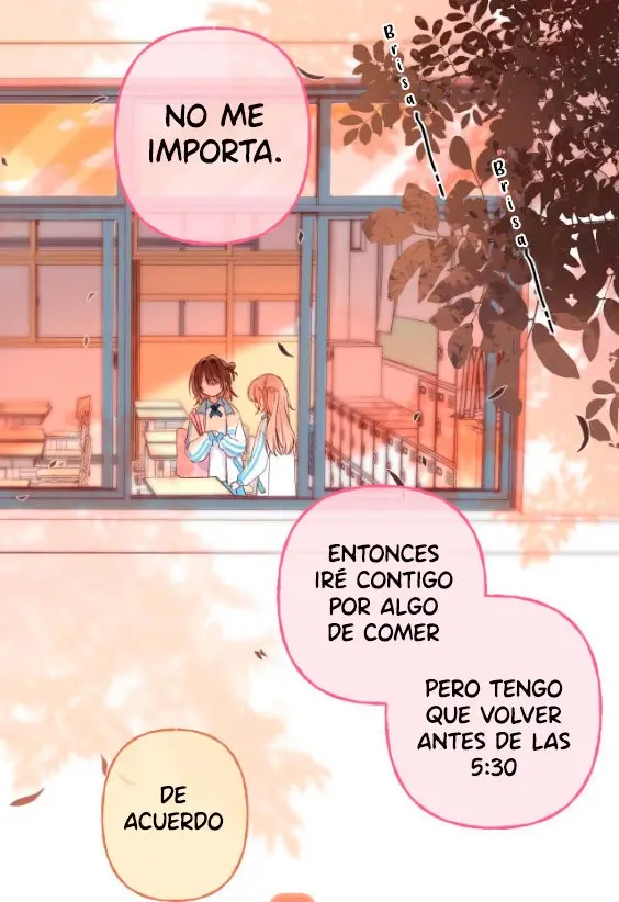 Amor Oculto capítulo 29 página 17