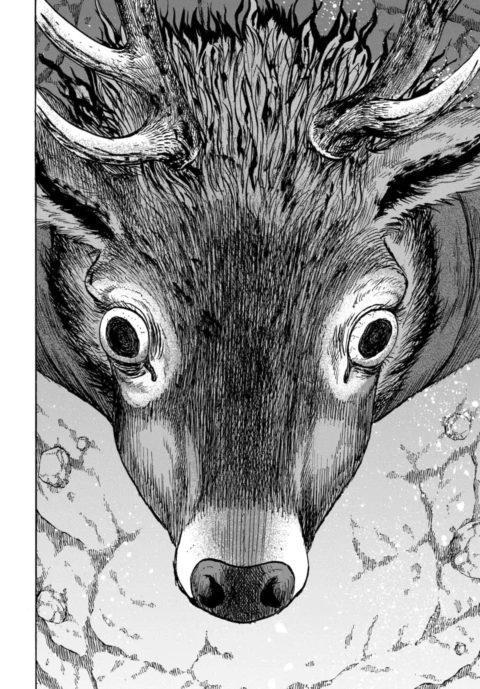 Animal Human capítulo 14 página 17