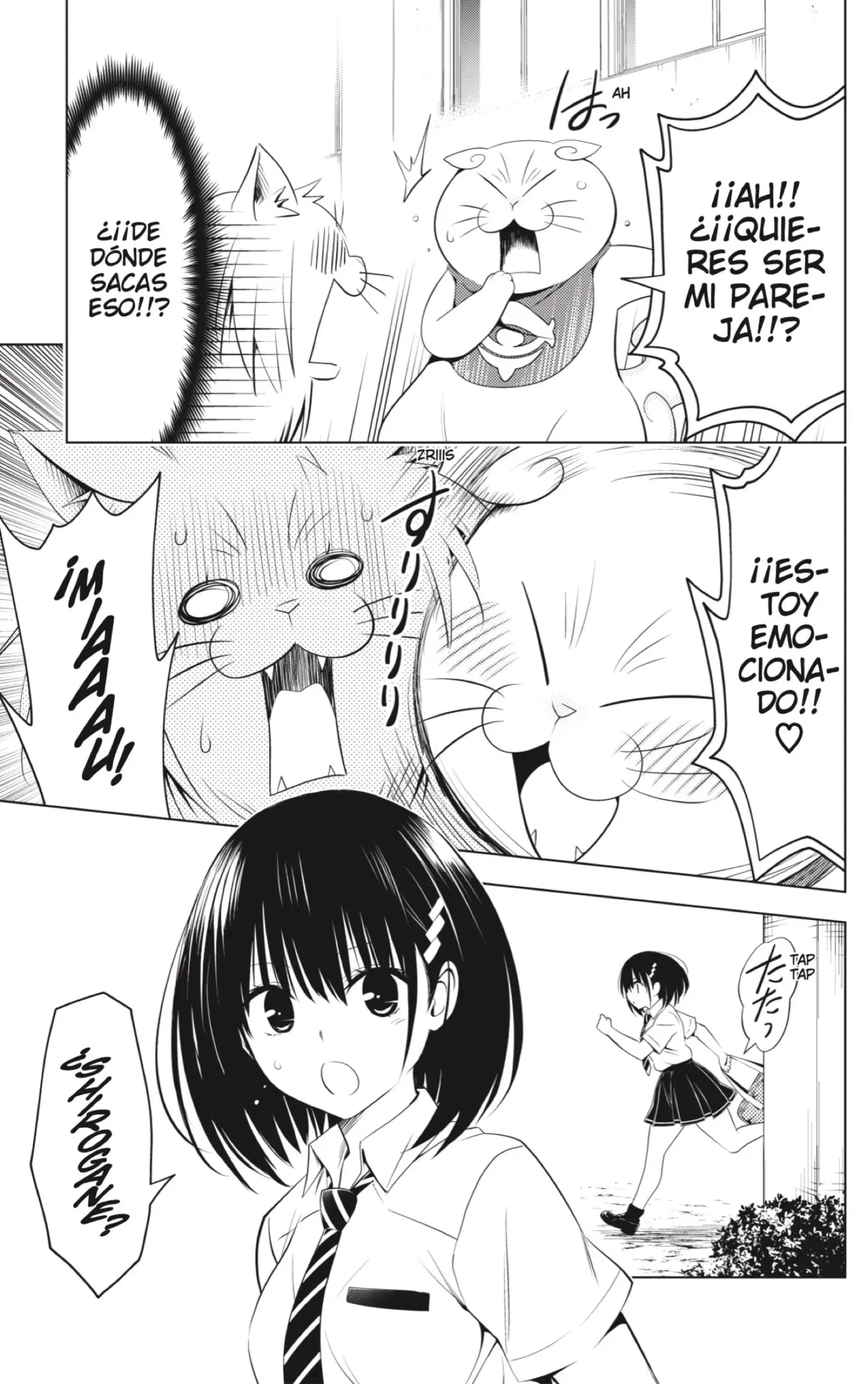 Ayakashi Triangle capítulo 105 página 11
