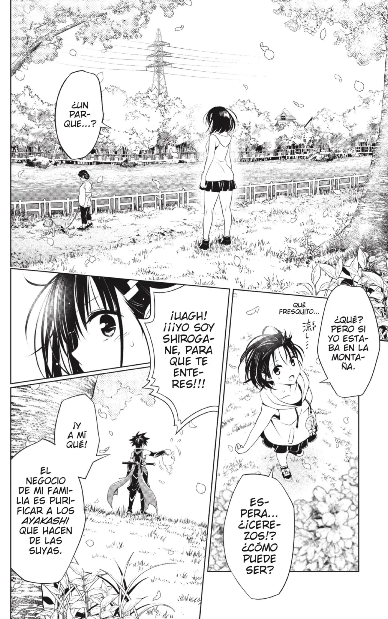 Ayakashi Triangle capítulo 87 página 6