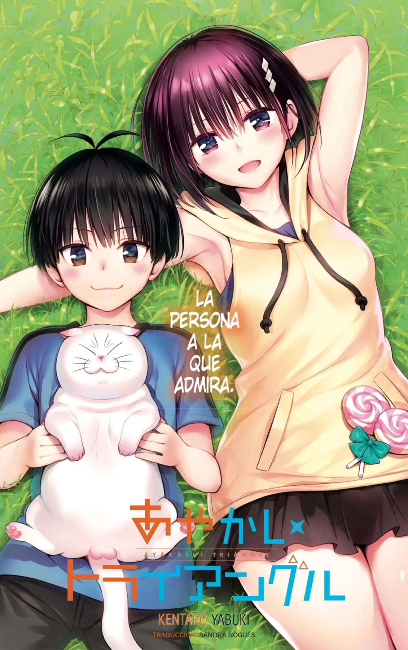 Ayakashi Triangle capítulo 95 página 1
