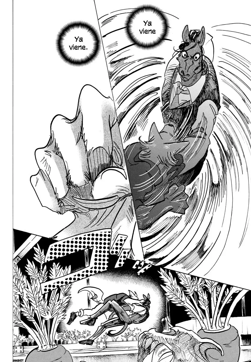 Beastars capítulo 118 página 13