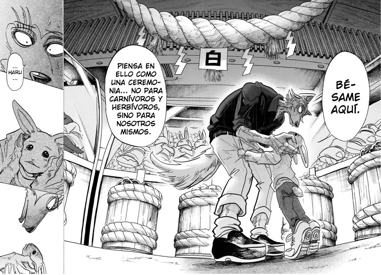 Beastars capítulo 122 página 17