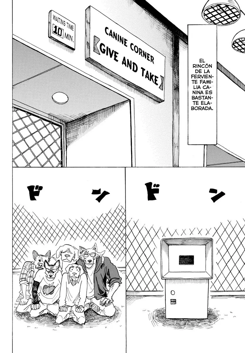 Beastars capítulo 123 página 13