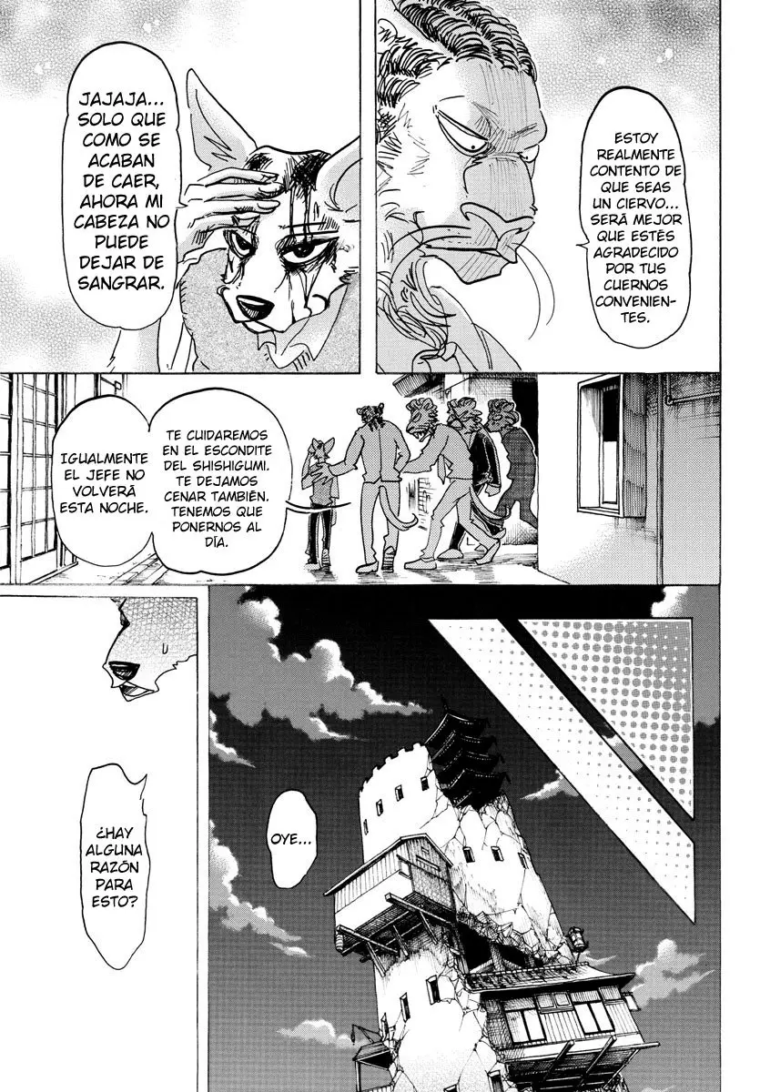Beastars capítulo 131 página 11