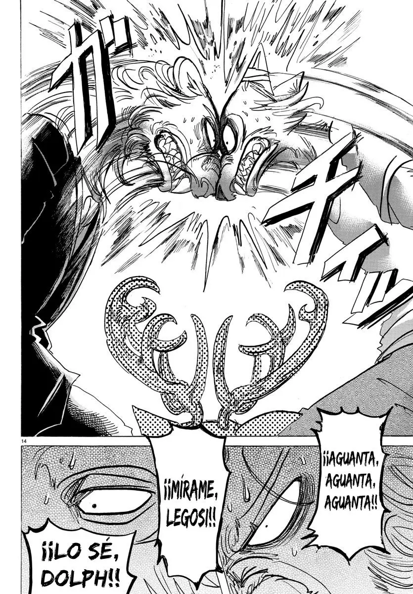 Beastars capítulo 147 página 17
