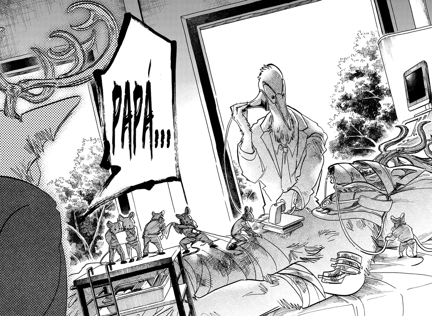 Beastars capítulo 165 página 12
