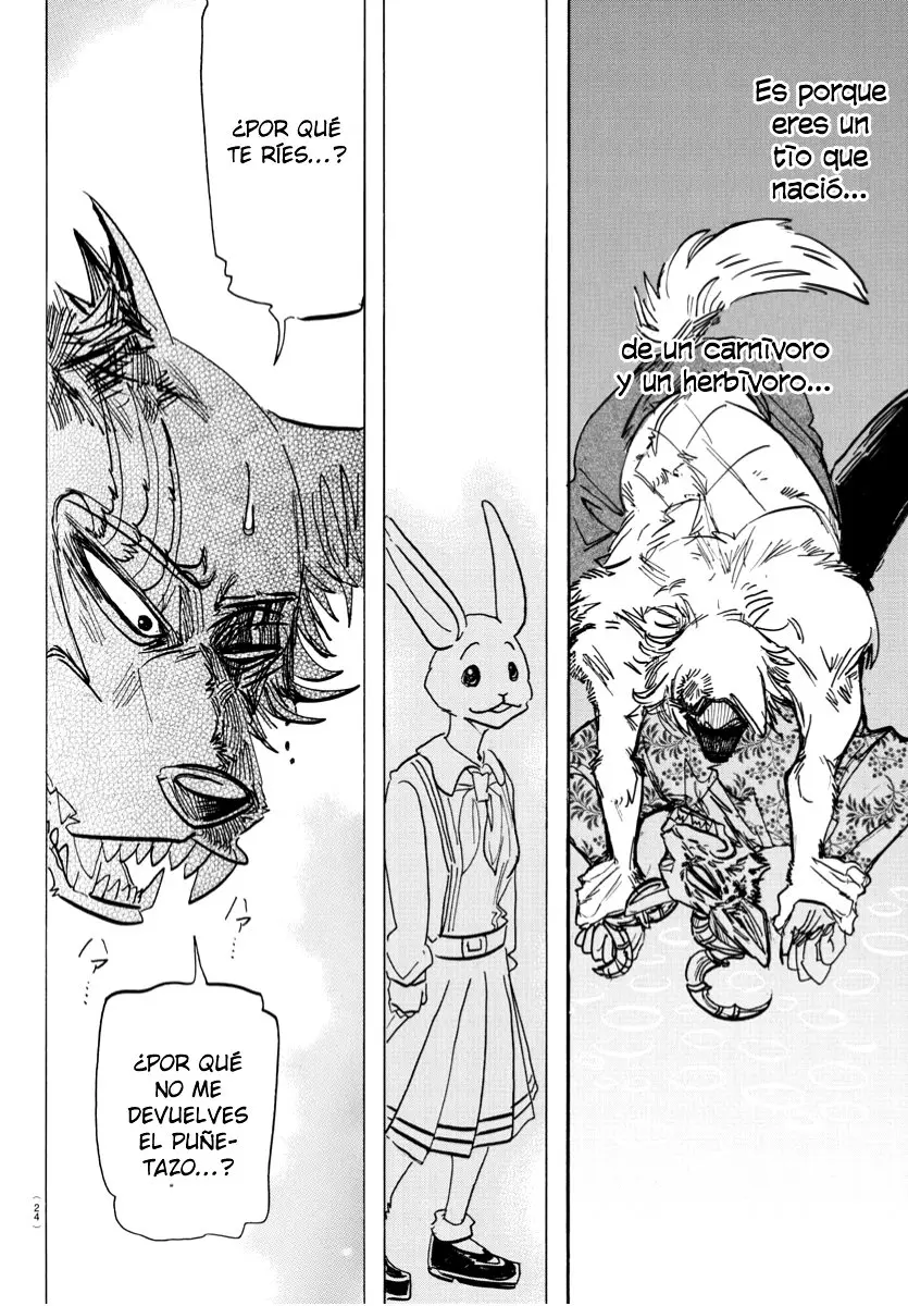 Beastars capítulo 184 página 13