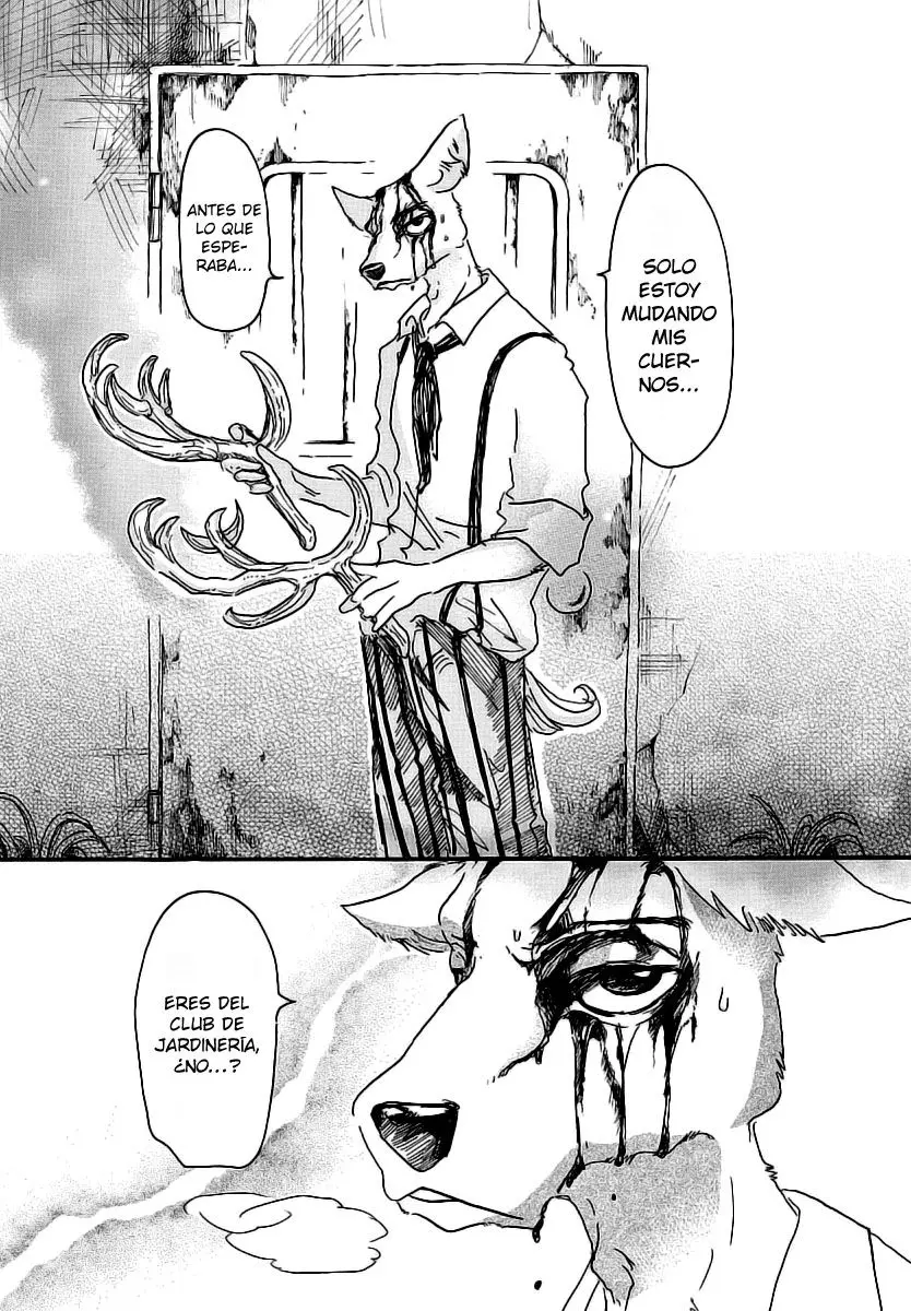 Beastars capítulo 26 página 9